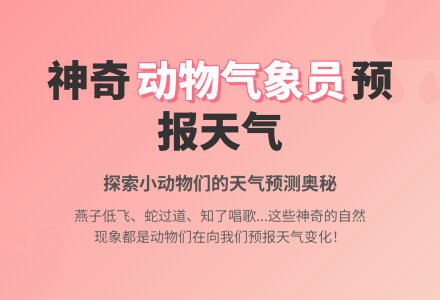 中班语言动物气象台教案反思-幼师课件网
