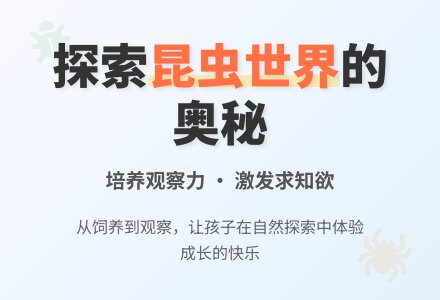 中班科学昆虫的家教案反思-幼师课件网