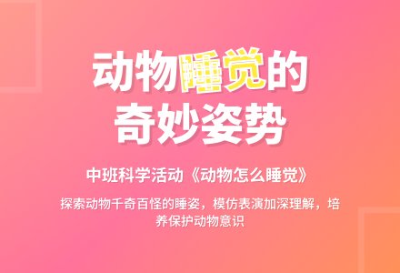 中班科学动物怎么睡觉教案反思-幼师课件网