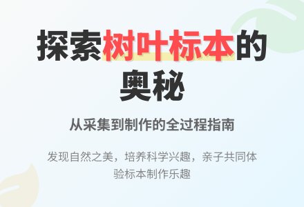 中班科学制作树叶标本教案反思-幼师课件网