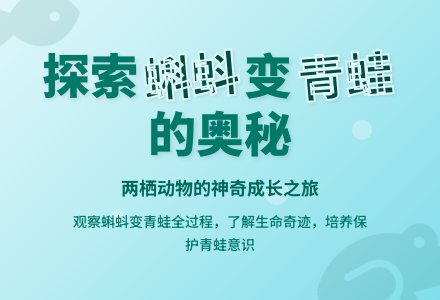 中班科学活动蝌蚪变青蛙教案反思-幼师课件网