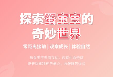 中班科学活动蚕孩子教案反思-幼师课件网