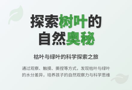 中班科学叶子里的秘密教案反思-幼师课件网