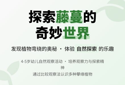 中班科学植物的弯曲运动教案反思-幼师课件网