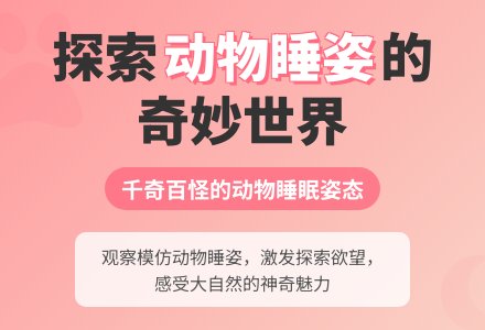 中班科学千姿百态的睡姿教案反思-幼师课件网