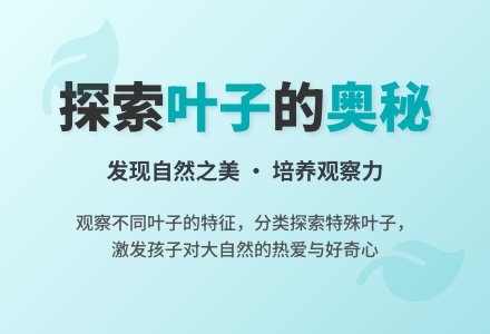 中班科学有趣的叶子教案反思-幼师课件网