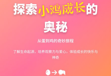 中班科学小鸡出生的秘密教案反思-幼师课件网