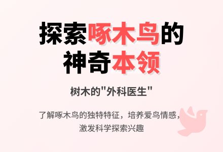 中班科学啄木鸟朋友教案反思-幼师课件网