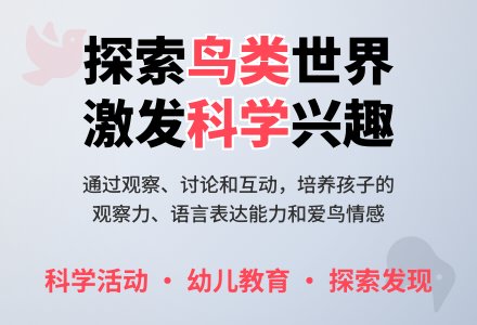 中班科学活动我们的鸟类朋友教案-幼师课件网