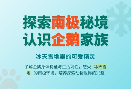 中班科学活动不怕冷的企鹅教案-幼师课件网