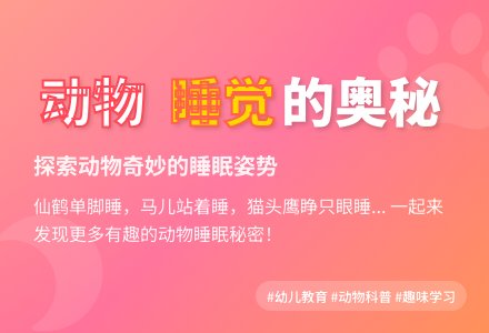 中班科学活动动物们睡着了教案-幼师课件网