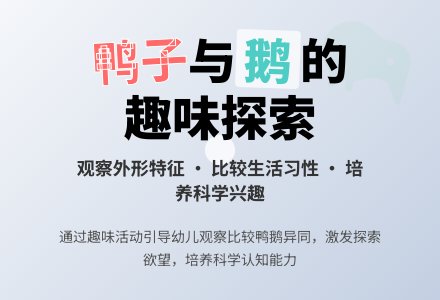 中班科学鸭子和白鹅教案反思-幼师课件网