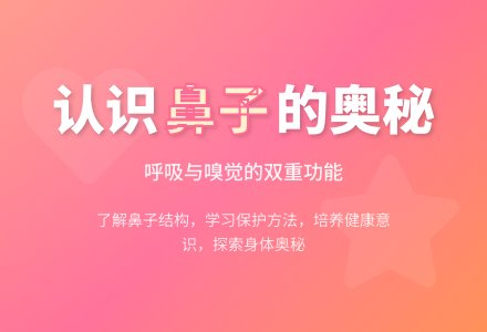 中班健康活动我们的鼻子教案反思-幼师课件网