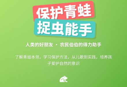 中班社会保护青蛙教案反思-幼师课件网