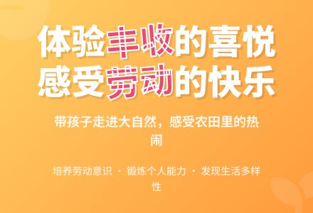 中班社会活动收黄豆咯教案反思-幼师课件网