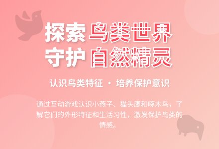 中班美术美丽的鸟教案反思-幼师课件网