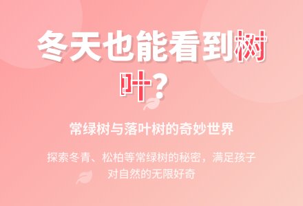 中班主题冬天能看到哪些树叶说课稿教案反思-幼师课件网