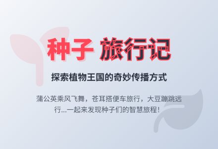 中班主题种子的旅行教案反思-幼师课件网