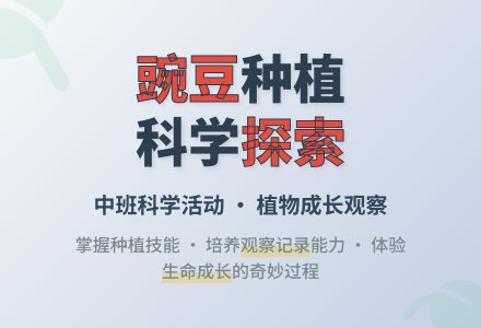 中班种植活动种豌豆教案-幼师课件网
