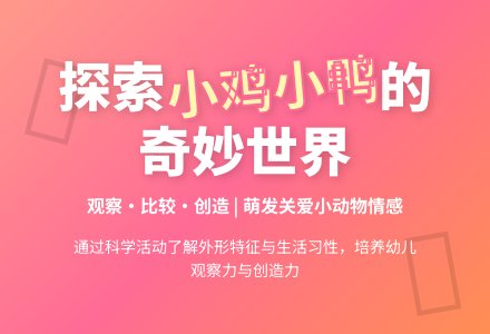 中班主题小鸡和小鸭教案反思-幼师课件网