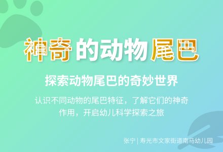 神奇的尾巴_幼儿园中班科学教案-幼师课件网