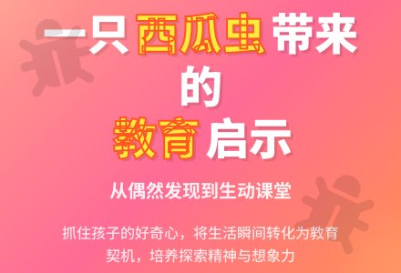 幼儿教育随笔一只西瓜虫引来的教育-幼师课件网