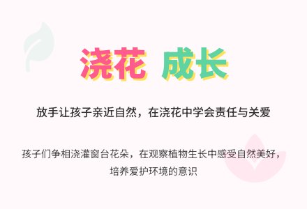 大班教育随笔窗台上的花-幼师课件网