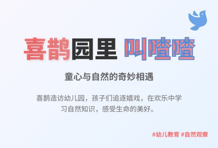 大班幼儿教育随笔喜鹊园里叫喳喳-幼师课件网