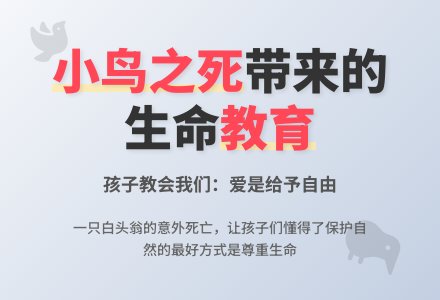 案例：一只小鸟-幼师课件网