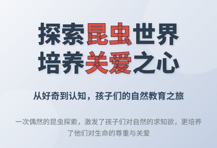 案例:在一次昆虫探索活动中想到的……-幼师课件网