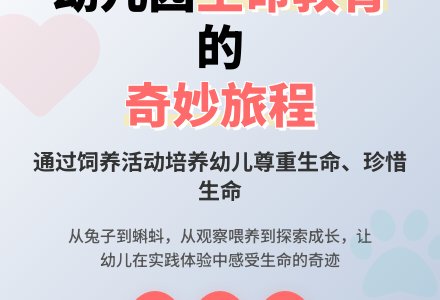 幼儿园饲养活动的有效开展-幼师课件网
