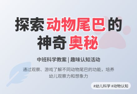 中班科学教案：动物的尾巴-幼师课件网