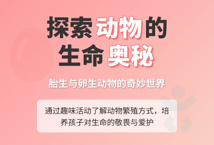 大班科学活动教案：动物怎样生孩子-幼师课件网