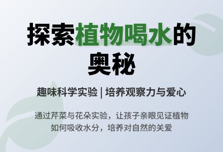 探索活动:植物怎样喝水-幼师课件网