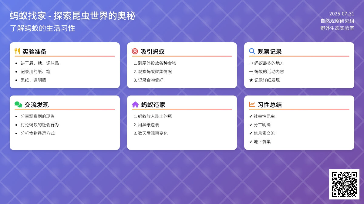 蚂蚁找家