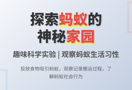 蚂蚁找家-幼师课件网