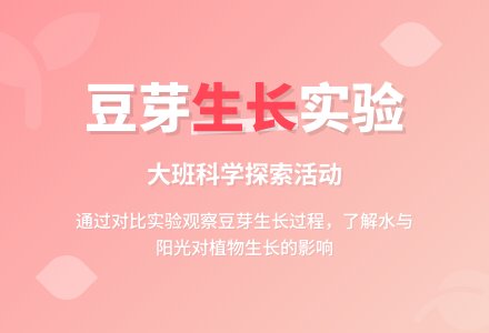 大班科学：生豆芽-幼师课件网