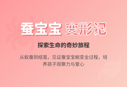 幼儿园大班科学活动教案：会变的蚕-幼师课件网