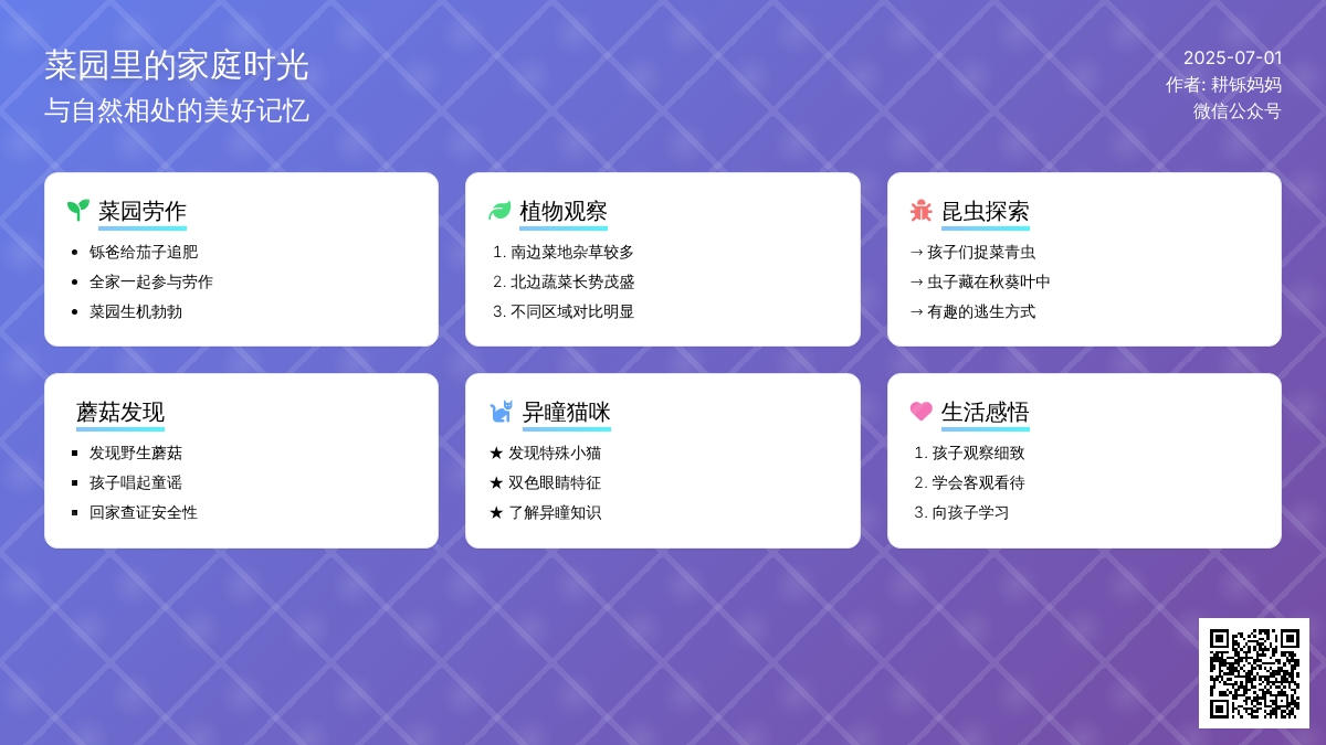周末随笔（补）