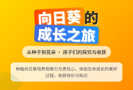 【课程故事】闪亮的向日葵——东坑澳睿幼儿园中二班班本课程-幼师课件网