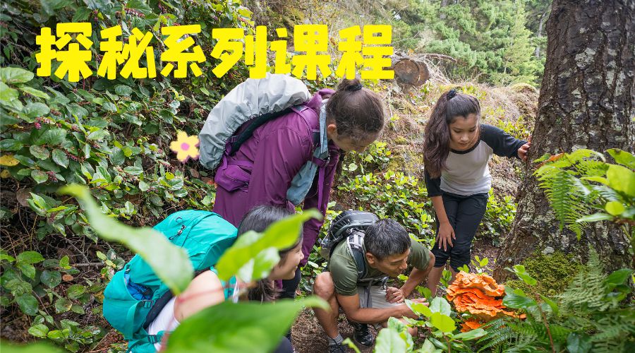 【探秘系列】班本课程