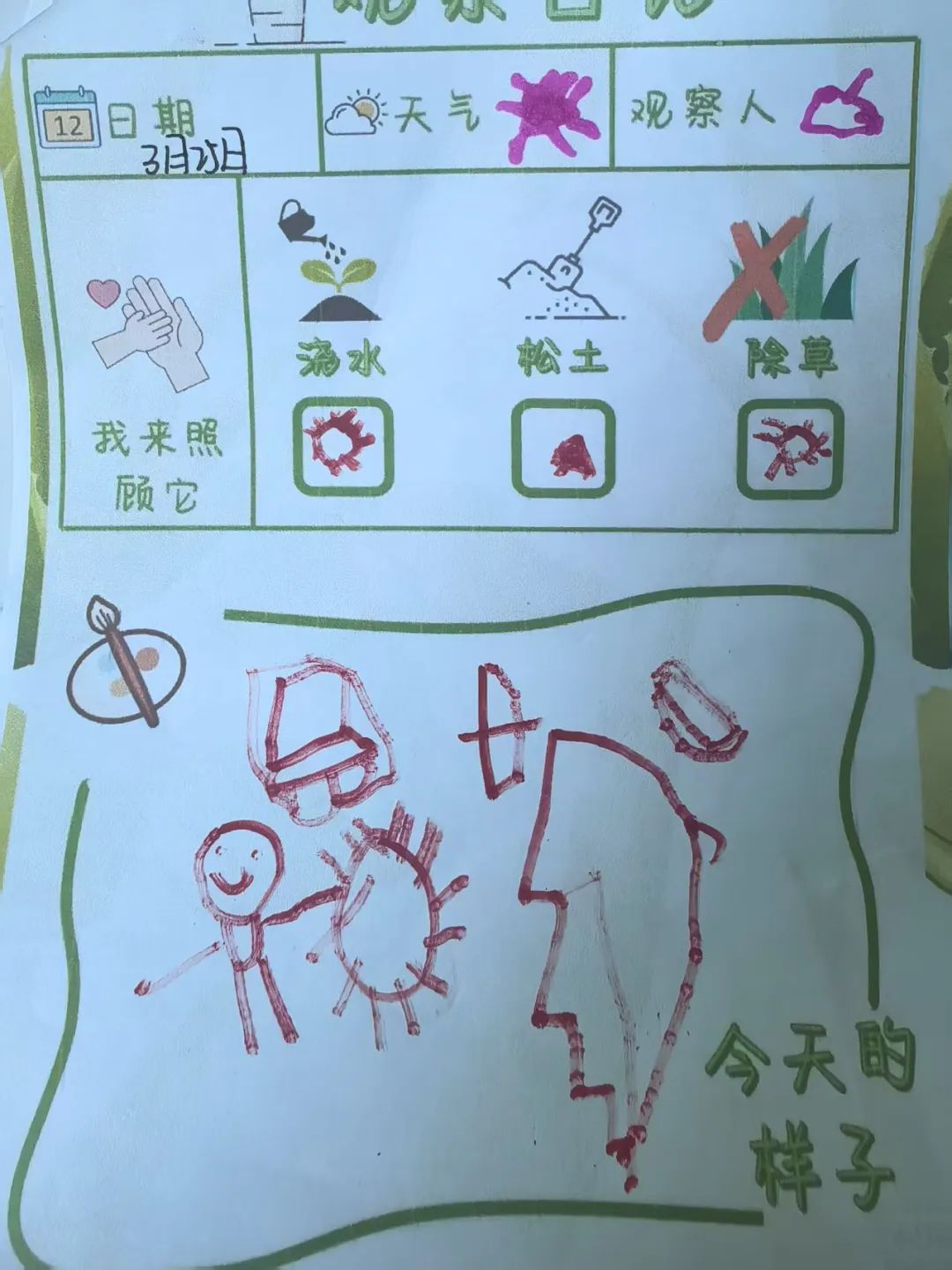 【自主课程—生命生长课程】蒜，长高了——城幼（李家园区）小中班幼儿课程故事-幼师课件网第39张图片