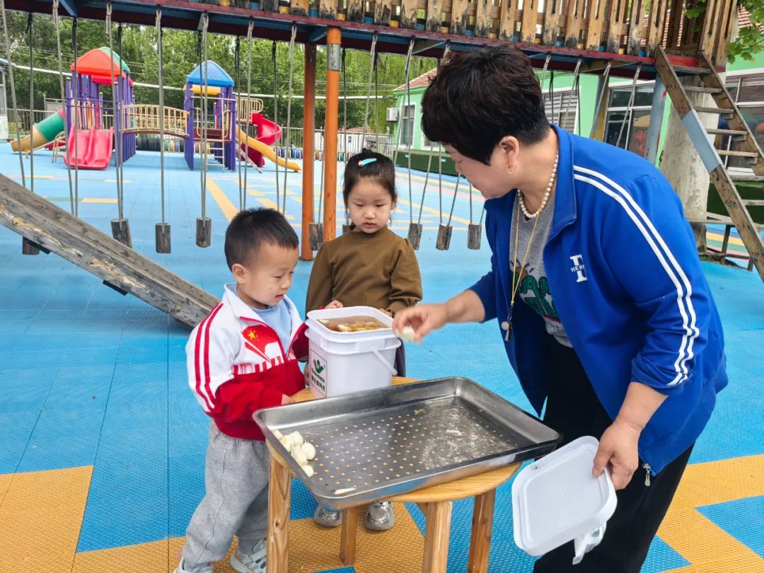 【自主课程—生命生长课程】蒜，长高了——城幼（李家园区）小中班幼儿课程故事-幼师课件网第173张图片