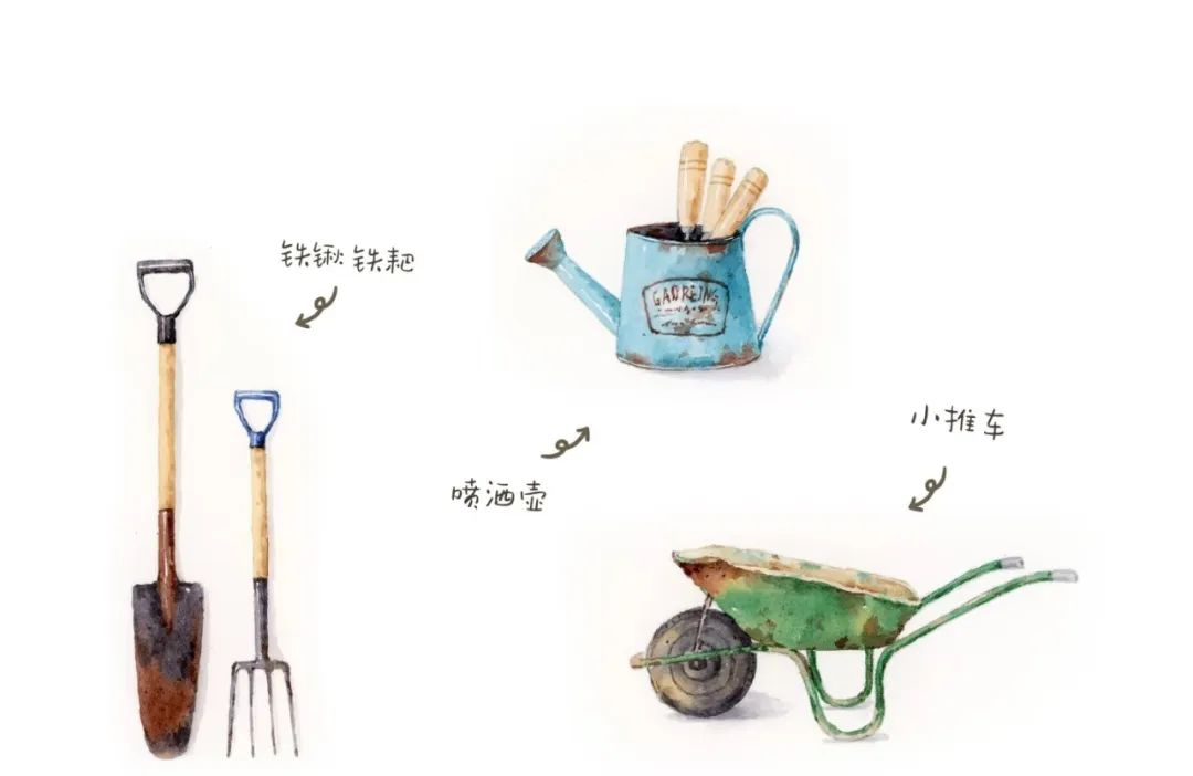 【自主课程—生命生长课程】蒜，长高了——城幼（李家园区）小中班幼儿课程故事-幼师课件网第35张图片