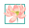 【自主课程—生命生长课程】蒜，长高了——城幼（李家园区）小中班幼儿课程故事-幼师课件网第100张图片