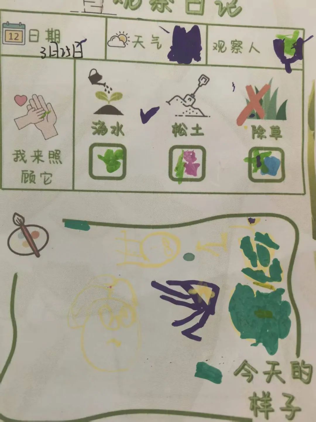 【自主课程—生命生长课程】蒜，长高了——城幼（李家园区）小中班幼儿课程故事-幼师课件网第38张图片