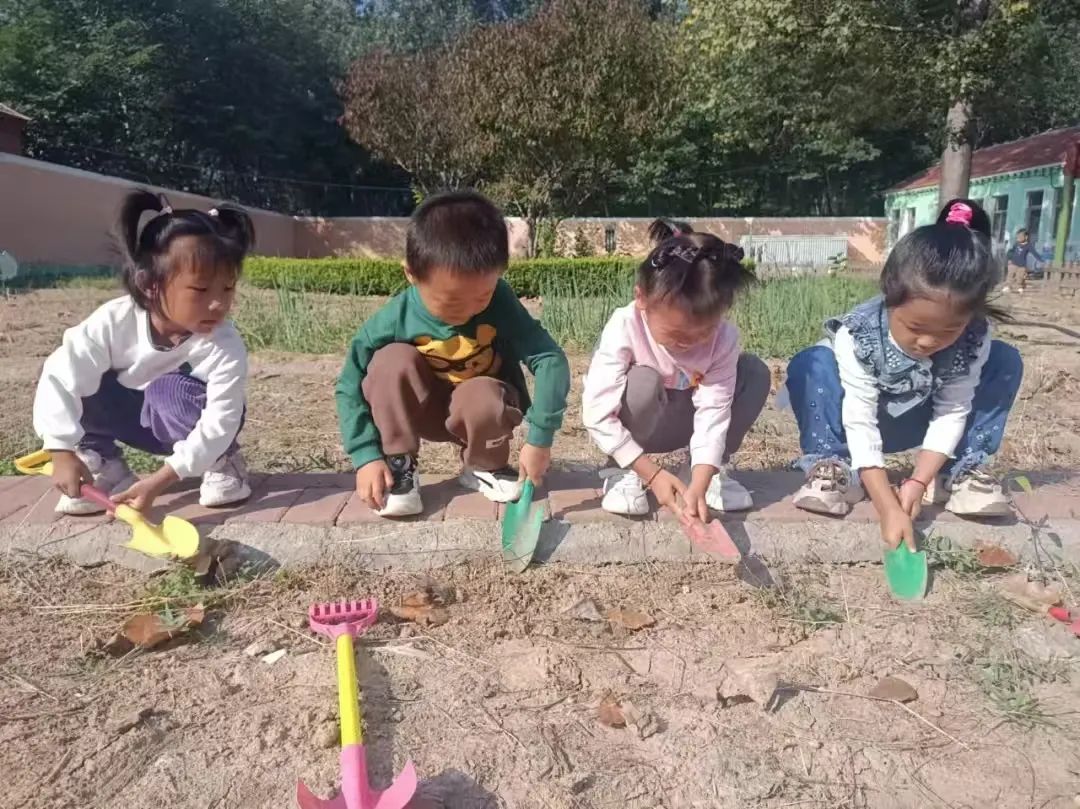 【自主课程—生命生长课程】蒜，长高了——城幼（李家园区）小中班幼儿课程故事-幼师课件网第48张图片
