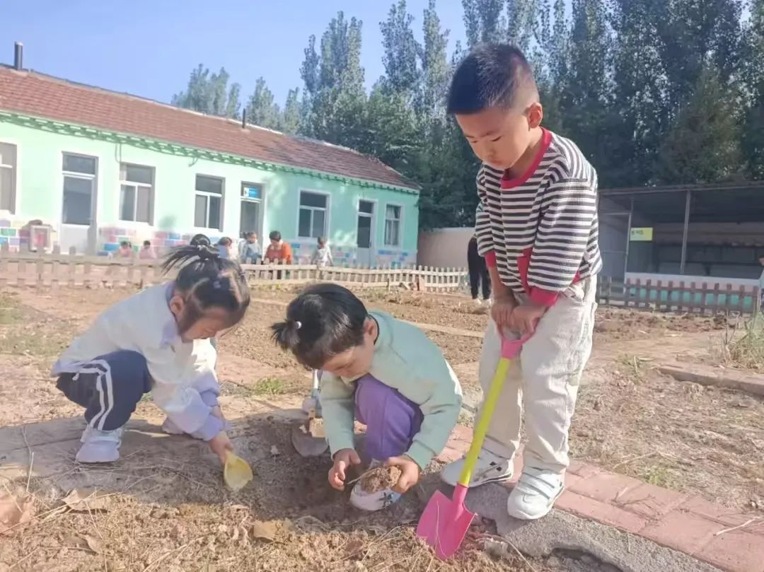 【自主课程—生命生长课程】蒜，长高了——城幼（李家园区）小中班幼儿课程故事-幼师课件网第49张图片