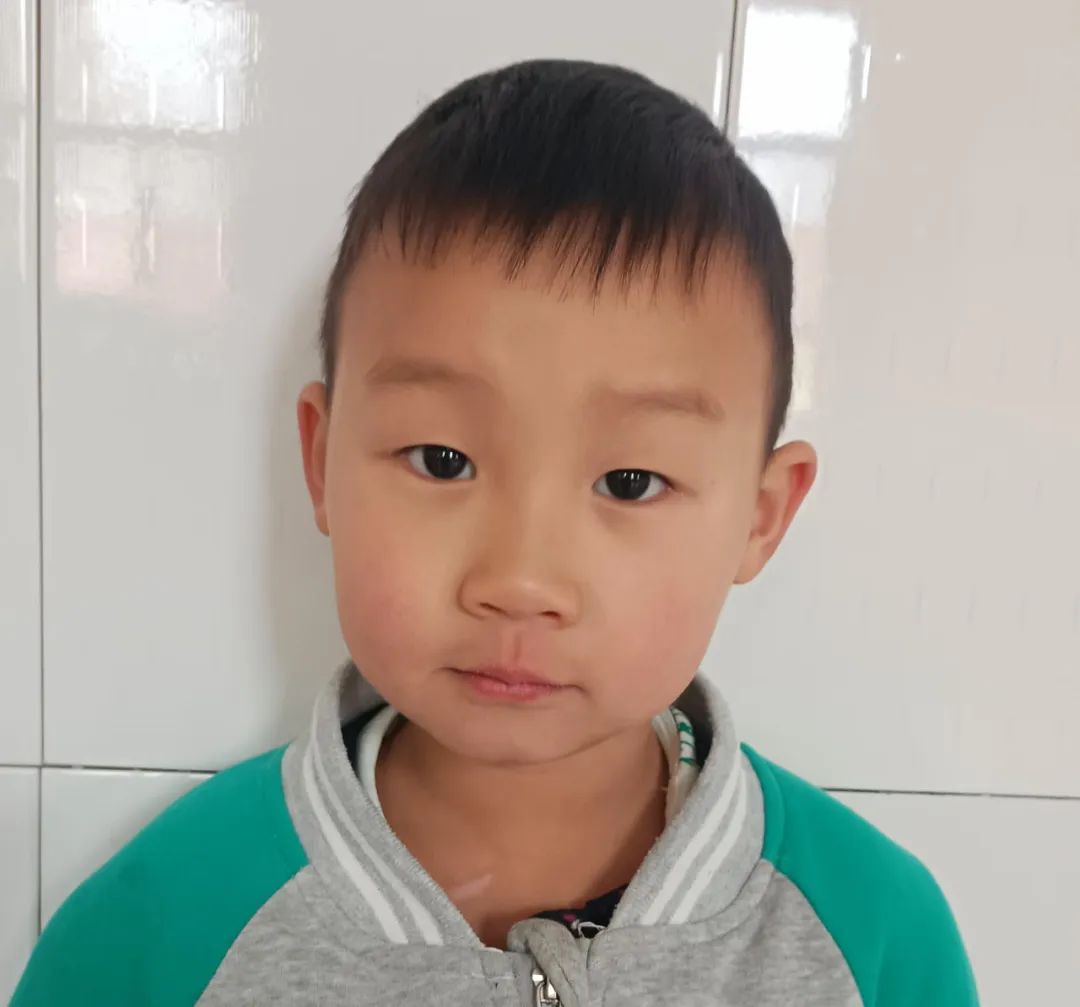 【自主课程—生命生长课程】蒜，长高了——城幼（李家园区）小中班幼儿课程故事-幼师课件网第22张图片