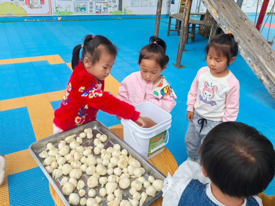 【自主课程—生命生长课程】蒜，长高了——城幼（李家园区）小中班幼儿课程故事-幼师课件网第171张图片